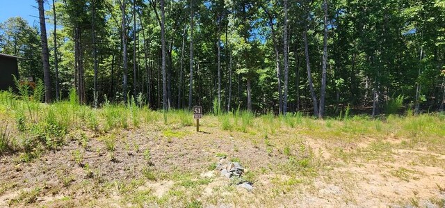 LOT51 Ridge Dr, Morganton GA, 30560 land for sale