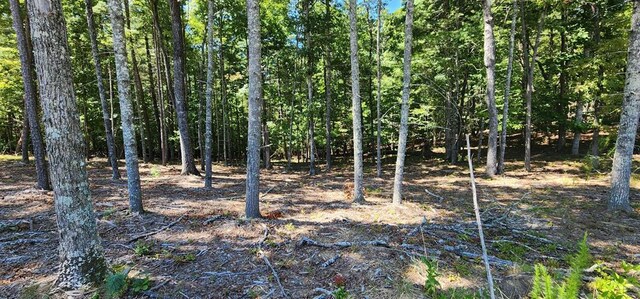 Listing photo 2 for LOT51 Ridge Dr, Morganton GA 30560