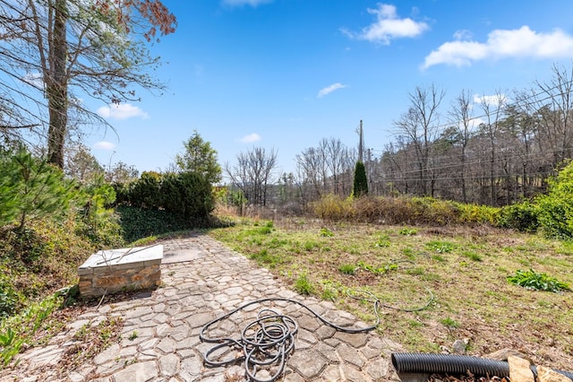 view of yard with a patio