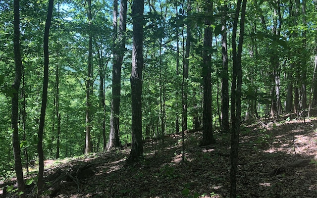 L48C Byron St, Blairsville GA, 30512 land for sale