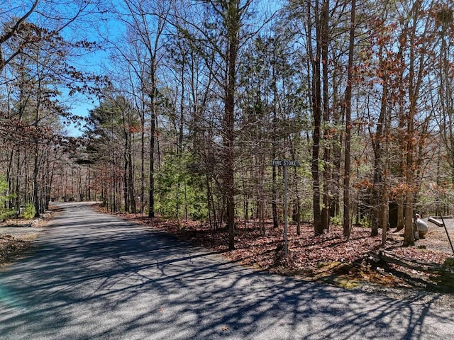 LOT20 Wrought Iron Trl, Morganton GA, 30560 land for sale