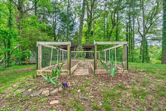 241 Boulevard St, Murphy, NC 28906 - view of yard with a vegetable garden