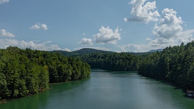 water view featuring a mountain view and a view of trees