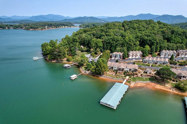 bird's eye view featuring a forest view and a water and mountain view