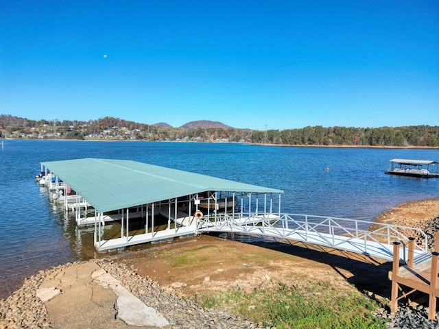 dock area with a water view