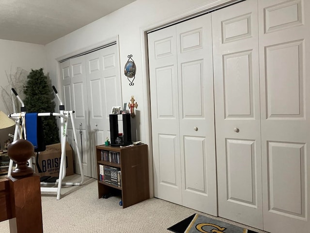 interior space featuring light carpet and two closets