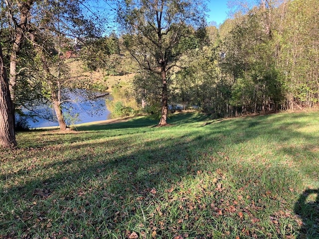 view of yard with a water view