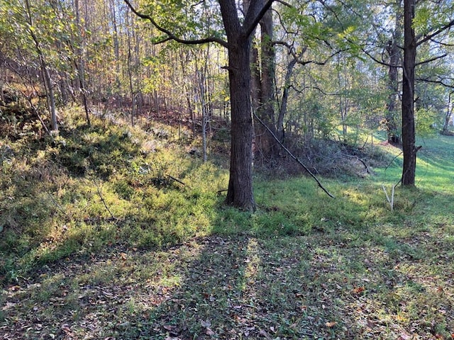 view of landscape