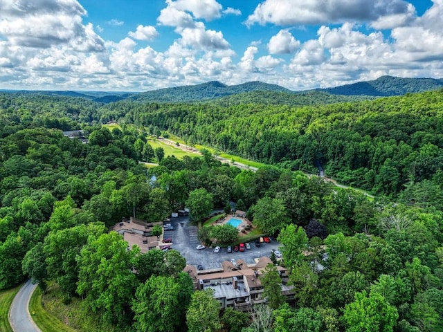 aerial view with a mountain view and a view of trees