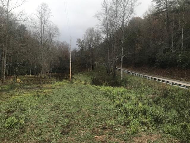 Listing photo 2 for 00 Cold Branch Rd, Hayesville NC 28904