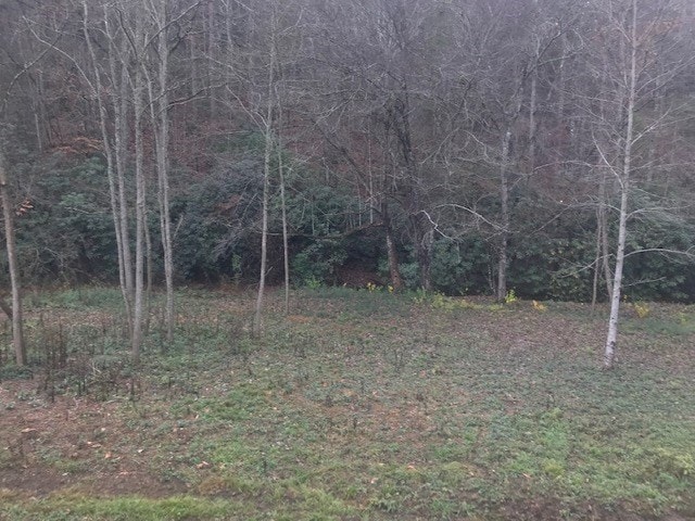 Listing photo 3 for 00 Cold Branch Rd, Hayesville NC 28904