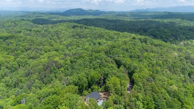 2562 Raven Cliff Rd, Ellijay, GA 30175 - bird's eye view with a forest view and a mountain view