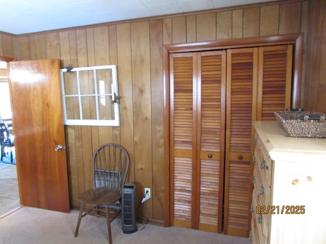 interior space with wood walls, a closet, and carpet