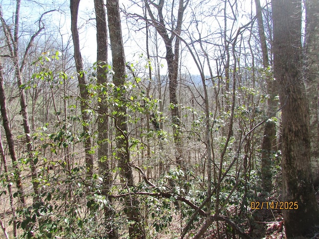 view of nature with a view of trees