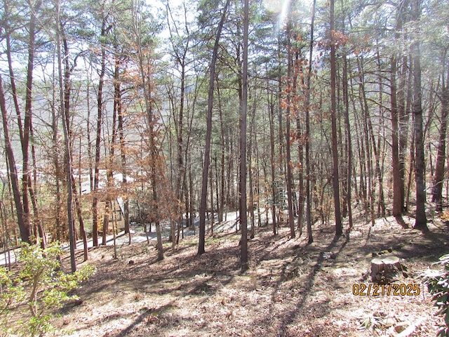 view of nature featuring a wooded view