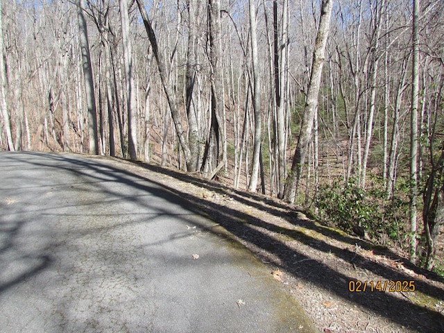 view of road with a forest view