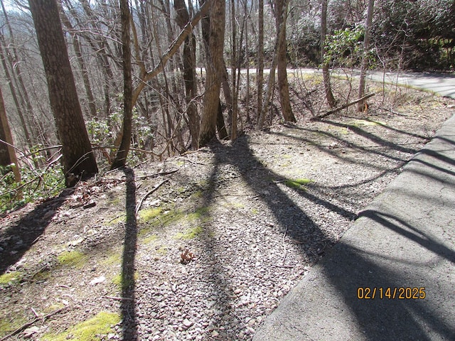 view of street with a wooded view