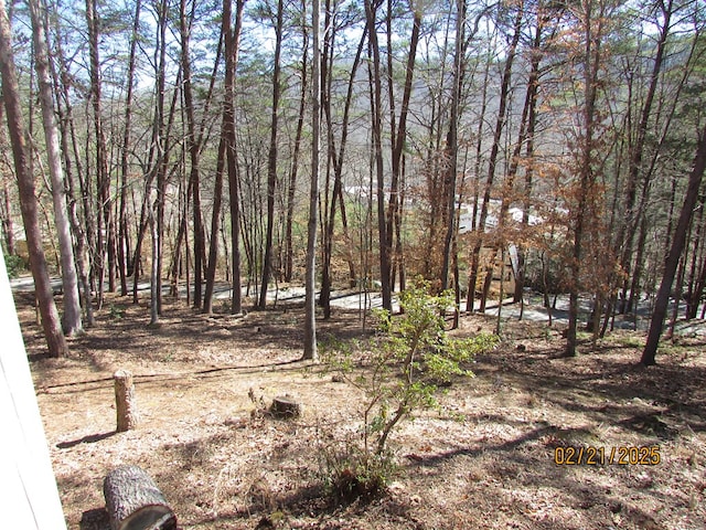 view of local wilderness with a view of trees