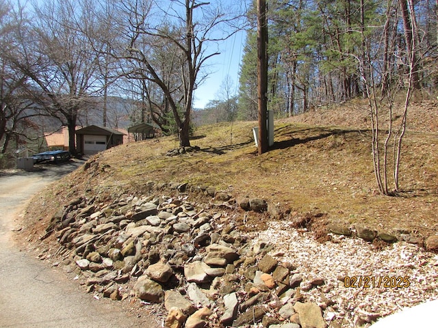 view of yard with driveway, an outdoor structure, and a detached garage