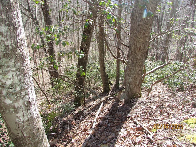 view of local wilderness with a forest view