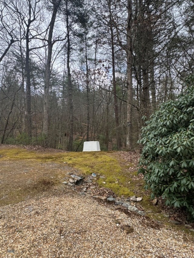 Listing photo 3 for 16R Leatherwood Mountain Rd, Cherry Log GA 30522