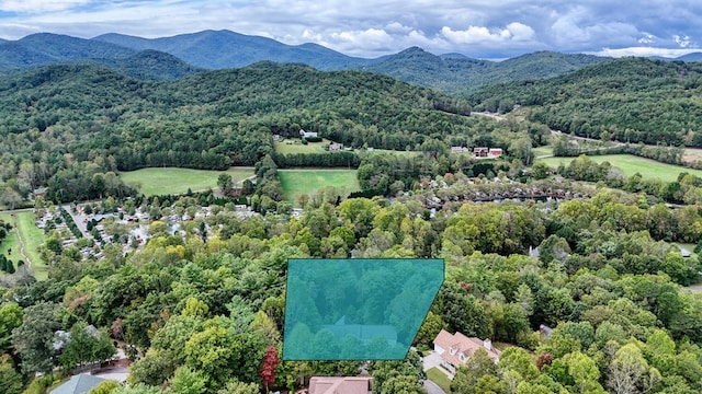 birds eye view of property with a mountain view