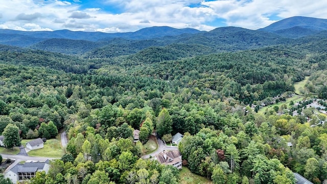 bird's eye view with a mountain view