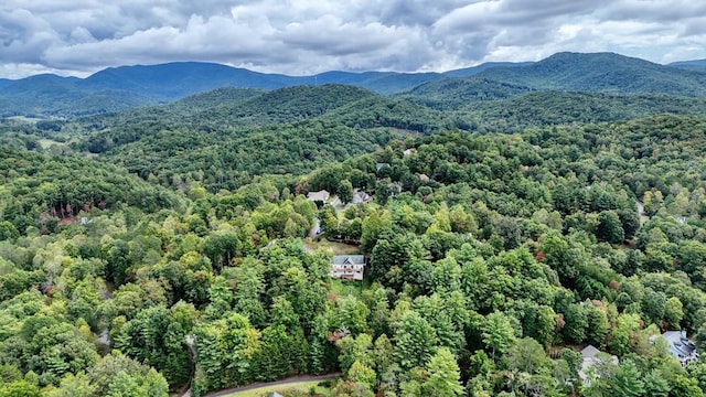 bird's eye view featuring a mountain view