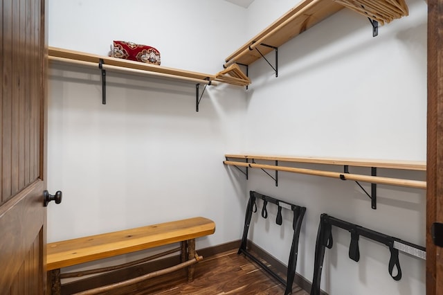 spacious closet featuring dark hardwood / wood-style flooring