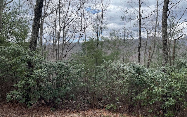 LT22 Foxwood Dr, Hayesville NC, 28904 land for sale