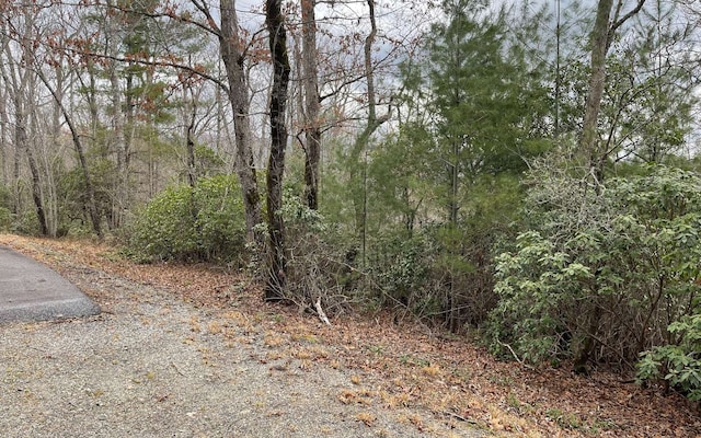 Listing photo 2 for LT22 Foxwood Dr, Hayesville NC 28904