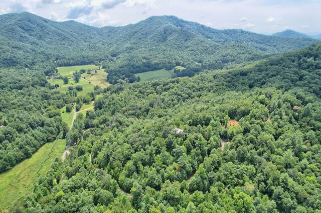 view of mountain feature