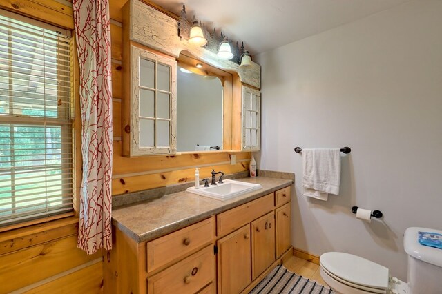 bathroom featuring a healthy amount of sunlight, toilet, and vanity