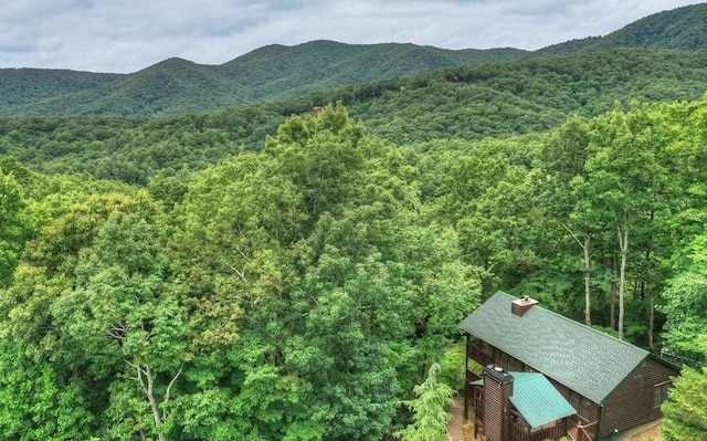 mountain view featuring a wooded view