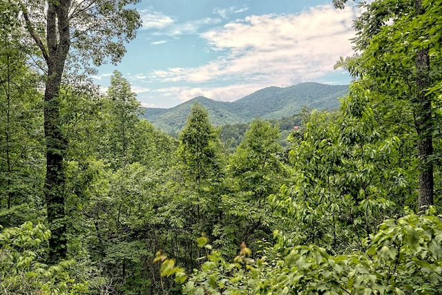 view of mountain feature with a view of trees