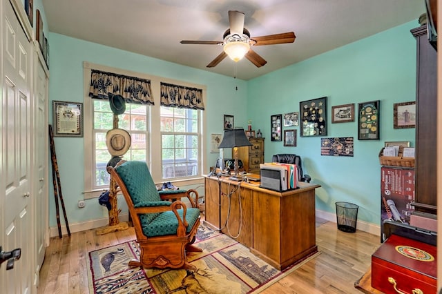 office space with ceiling fan and light hardwood / wood-style flooring