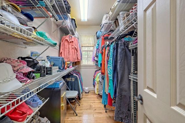 walk in closet with hardwood / wood-style flooring