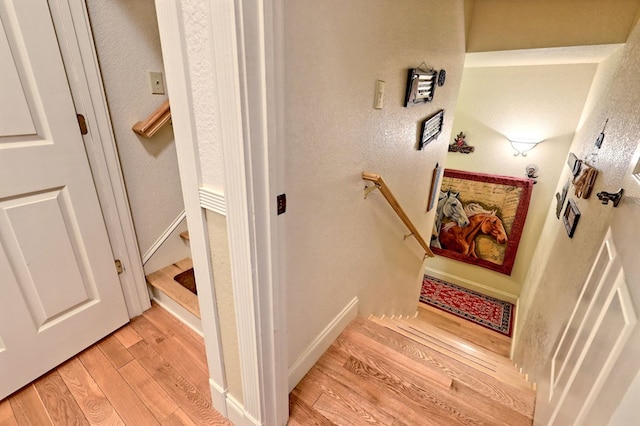 stairs with hardwood / wood-style floors