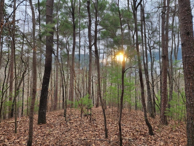 LOT1665 Hunter Dr, Talking Rock GA, 30175 land for sale