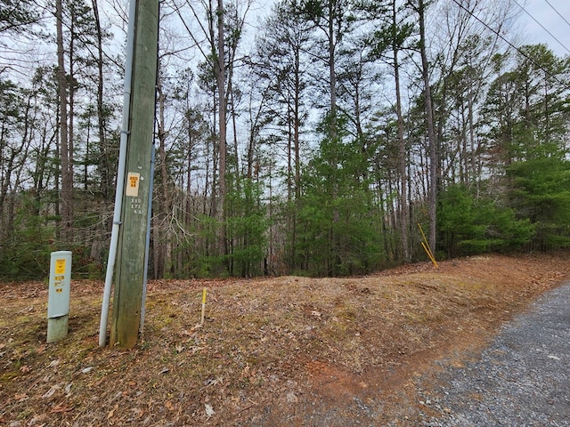 Listing photo 3 for LOT1665 Hunter Dr, Talking Rock GA 30175