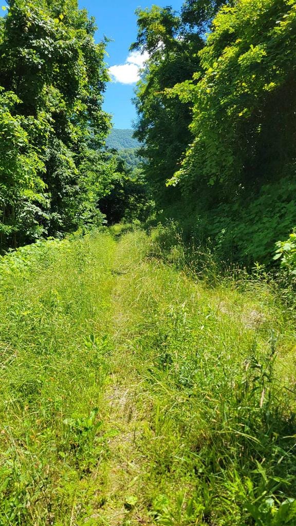 LOT8 Hickory Rdg, Hayesville, NC 28904