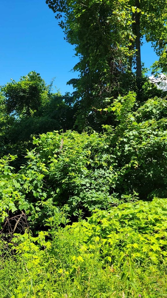 LOT8 Hickory Rdg, Hayesville, NC 28904