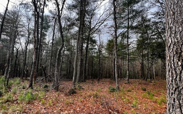 LT157 L157 Highland Park, Blairsville, GA 30512
