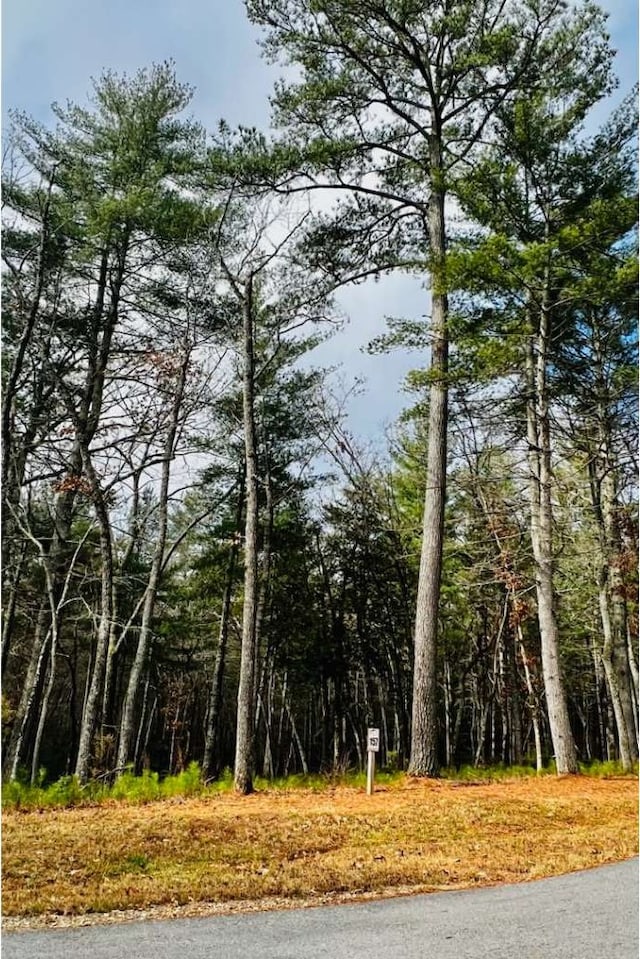 LT157 L157 Highland Park, Blairsville, GA 30512