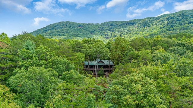 property view of mountains