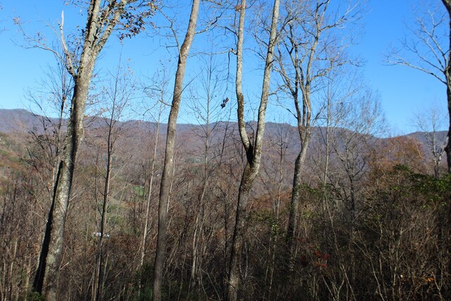 2 Gabriel Rdg, Hayesville, NC 28904