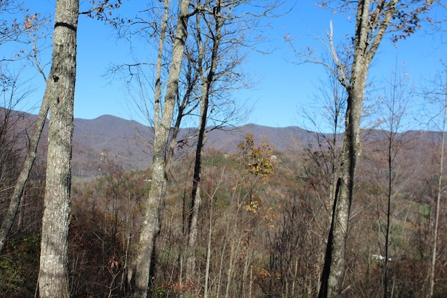 2 Gabriel Rdg, Hayesville, NC 28904