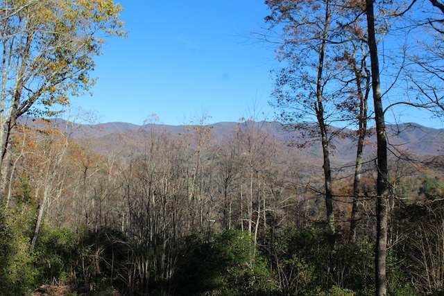 2 Gabriel Rdg, Hayesville, NC 28904