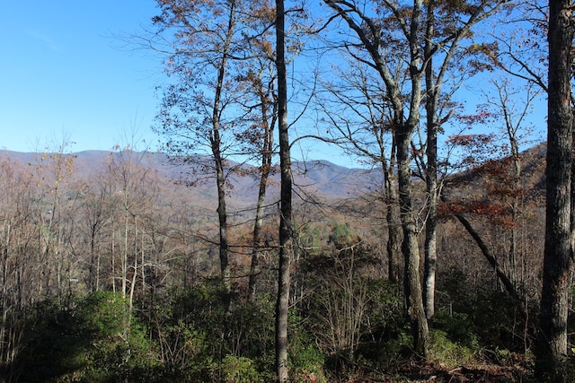2 Gabriel Rdg, Hayesville, NC 28904