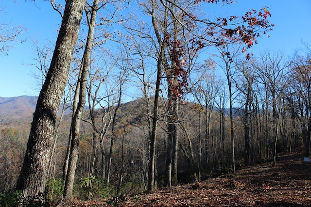 2 Gabriel Rdg, Hayesville, NC 28904
